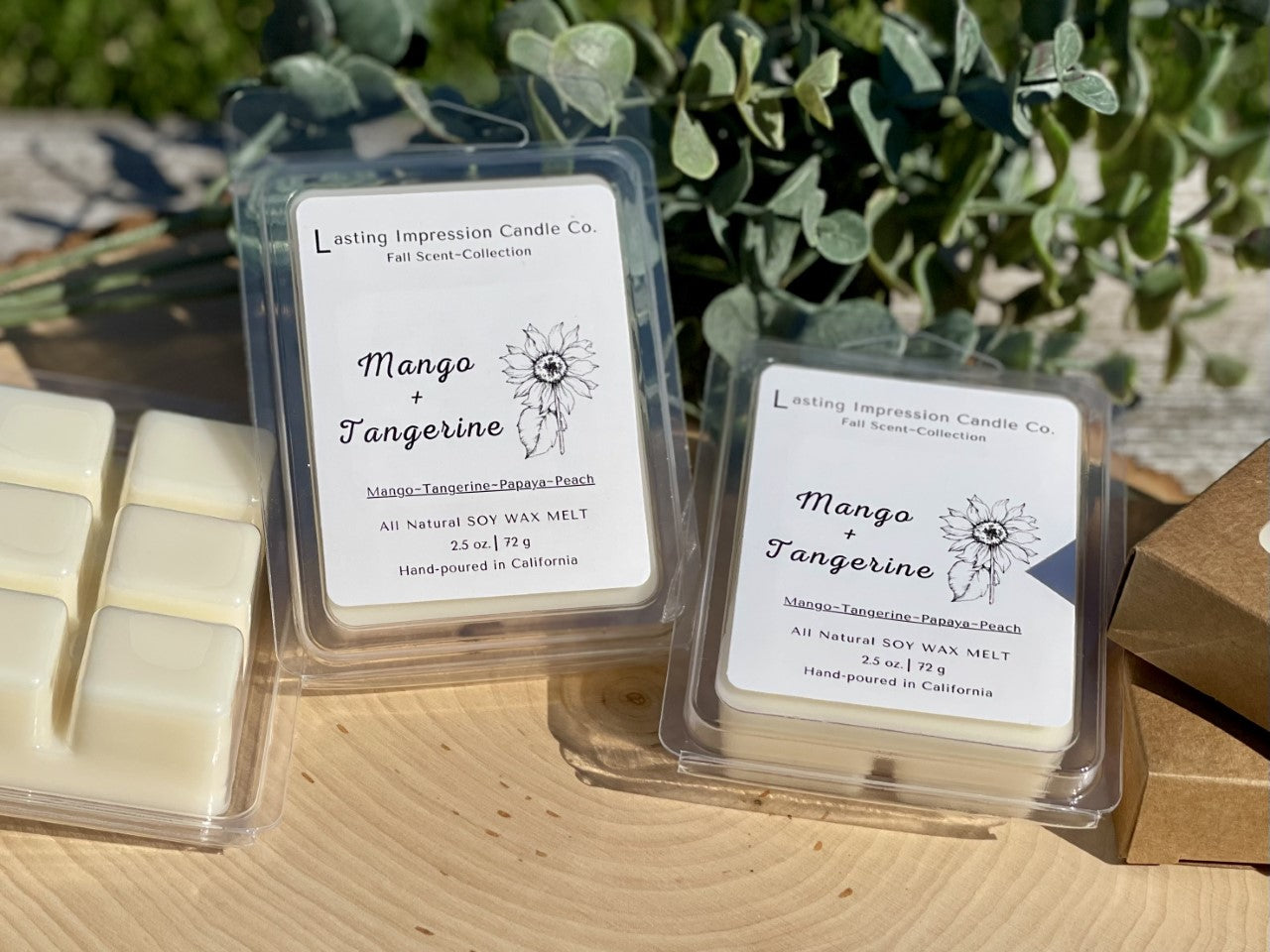 Mango & Tangerine Scented | Pure Soy Wax Melt