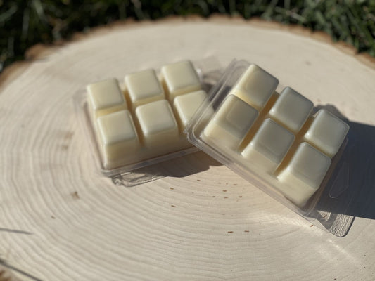Eucalyptus & Mint Scented | Pure Soy Wax Melt