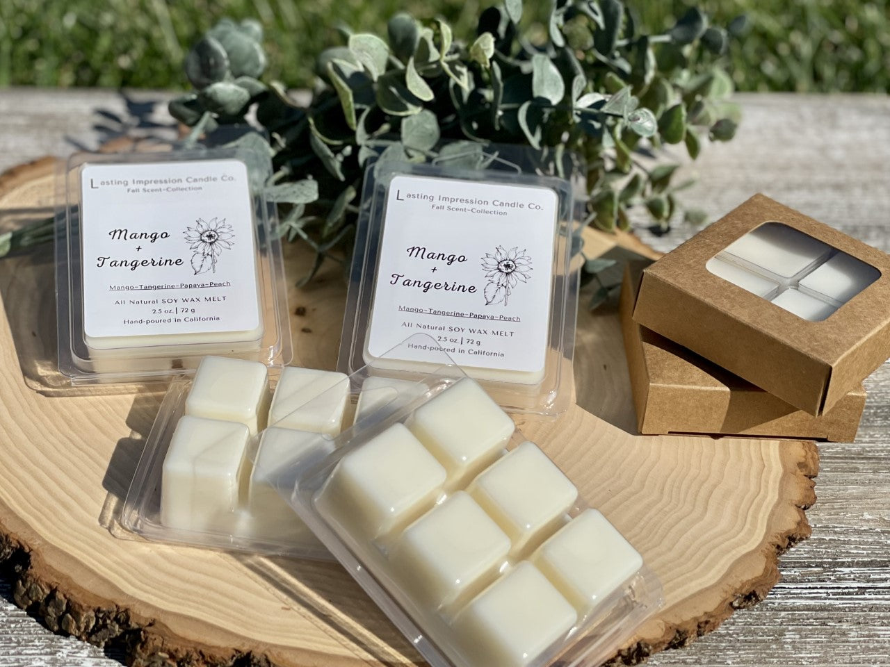 Mango & Tangerine Scented | Pure Soy Wax Melt